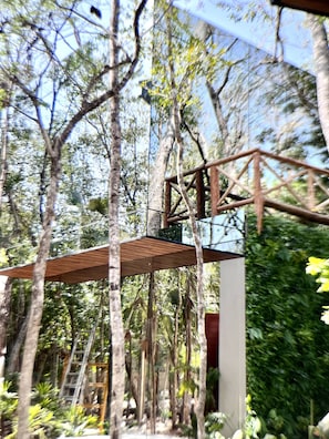 Mirrored Lofts reflecting jungle and camouflaging into jungle. Instagrammable. 