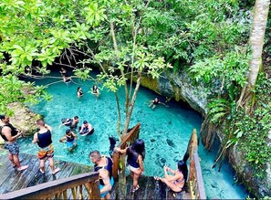 Cenotes Everywhere nearby. Beautiful Water Cave Rivers