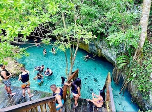 Cenotes Everywhere nearby. Beautiful Water Cave Rivers