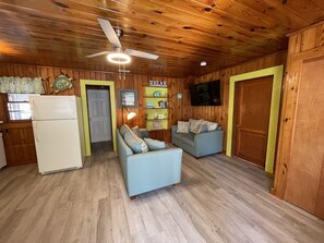 Living room with 55" smart tv