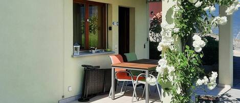 Plant, Flower, Building, Table, Door, Chair, Shade, Interior Design, Window, House