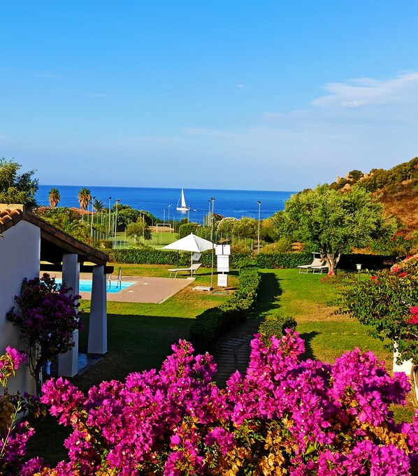 View from La Casa Verde