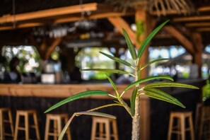 Bar (på boendet)
