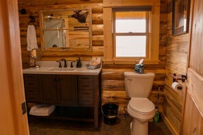 Modern vanity and toilet, with antique mirror and rustic charm.