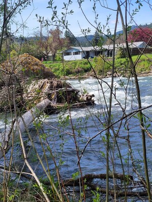 backyard view from across the river 