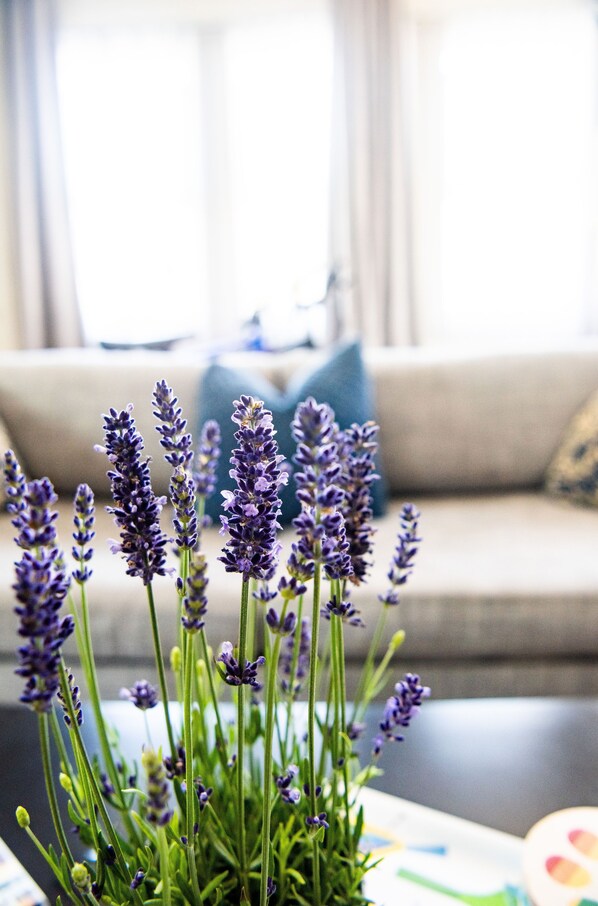Our charming little house accommodates up to three people. 
