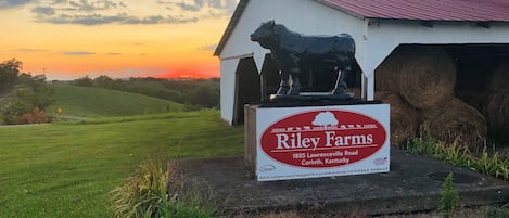 The entrance to Riley Farms 