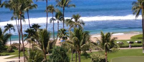 lanai view