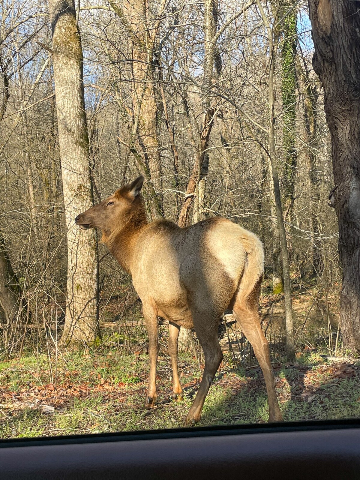 Main Image