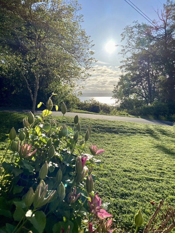 Boendeområde