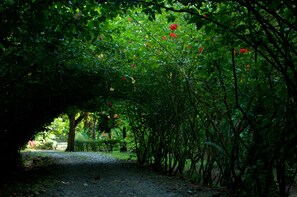 Jardines del alojamiento