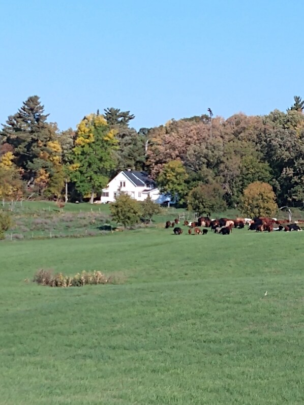 A view of the home during the Fall