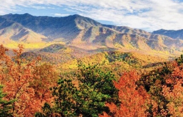 Welcome to the Great Smoky Mountains