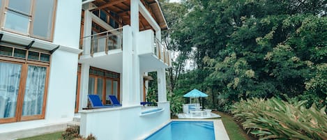 Back yard  and pool view 