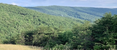 Terrenos do alojamento