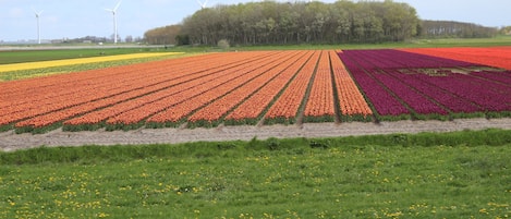 Terrain de l’hébergement 