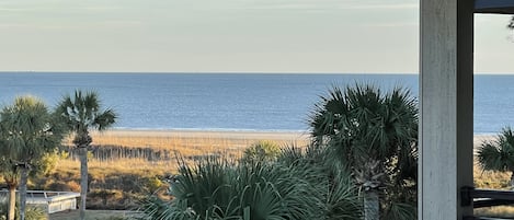 Gorgeous view of the beach