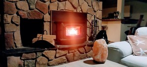 Wood burning fireplace. Wood provided.