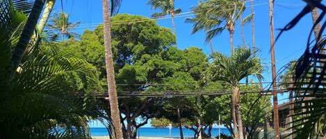 Ocean view from the lanai