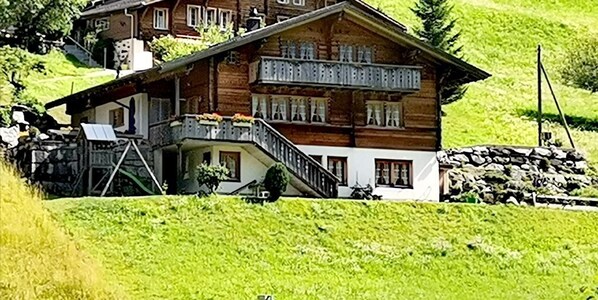 Exteriör