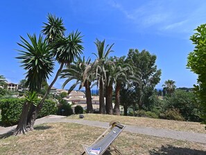Arbre, Feuille, Végétation, Arbuste, Suppression Des Plantes Ligneuses, Ombre, Jardin, Aménagement Paysager, Tropiques