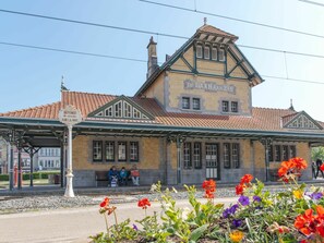 Blume, Pflanze, Himmel, Fenster, Eigentum, Gebäude, Haus, Wohngebiet, Fassade, Baum