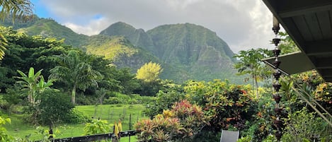 Jardines del alojamiento