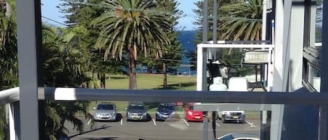 Shelly Park and the ocean from the balcony