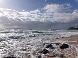 2min stroll will take you to Shelly Beach - great for swimming, surfing and walking your four legged friend