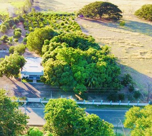 Vue aérienne