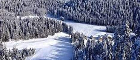 Wintersport/Ski