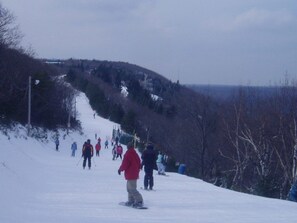 Ski Resort 4 miles away 