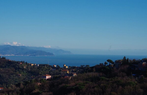 Vista dalla struttura