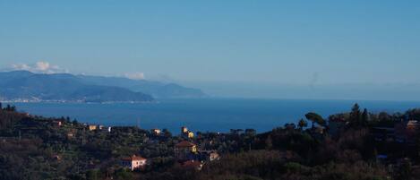 Vista dalla struttura