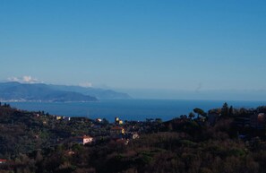Vue depuis l’hébergement