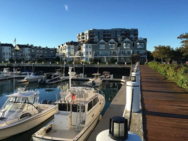 Marina