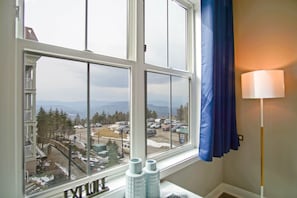 The view in the living room is of the Skidder Lot, which is paid parking.