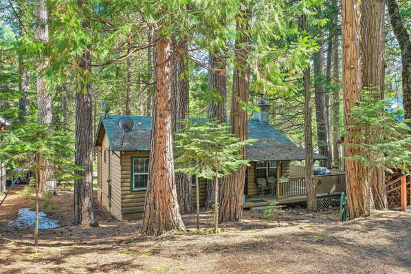 Long Barn Vacation Rental | 3BR | 1.5BA | 980 Sq Ft | Steps Required to Enter