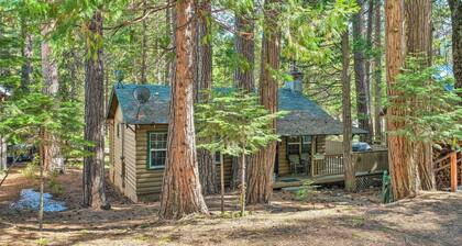 Peaceful 'Little Doll House' Cabin w/ Grill!