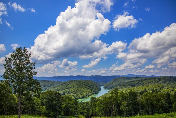 View from your cabin