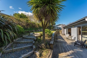 Back garden