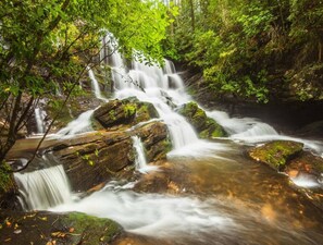 Walk to Gooch Falls from Ruhewald! It is less than a mile down the road.