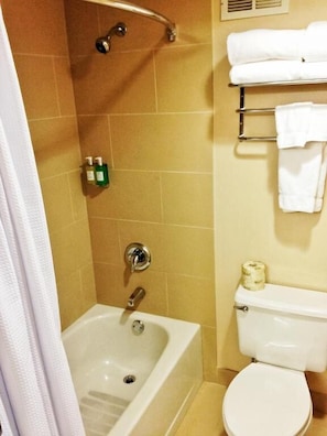 Bathroom with shower and tub. Basic toiletries and towels are provided