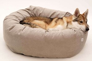 Pet-friendly