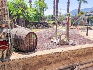 Plant, Sky, Barrel, Automotive Tire, Wood, Tree, Trunk, Landscape, Grass