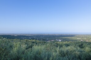 Amazing view from the property