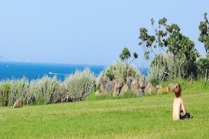 Immediate Surroundings [summer] (&lt;1 km)