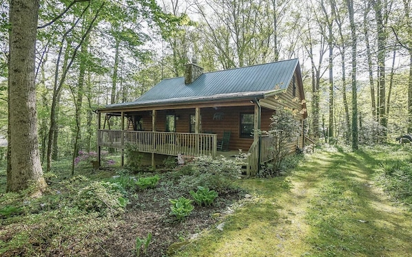 Exterior view shows the beauty and privacy offered at Bearly Rustic 