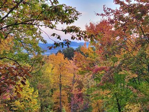 Fall View from The Cabin Lower Deck