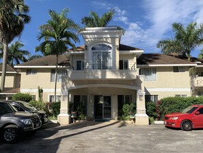 House, Lamp, Tree, Rug, Palm Tree